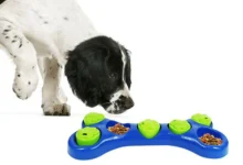 Beyond the Bone: A Deep Dive into Game-Changing Dog Toy Features