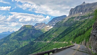 Road Trips in the USA Scenic Routes, Destinations & Travel Tips